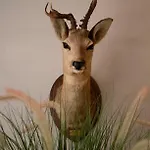 Apartman Typical Ardenne House De Luxe *