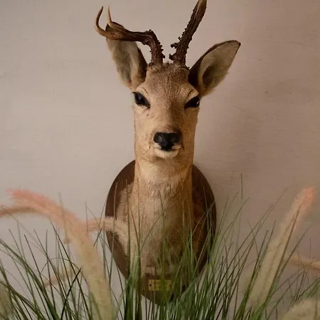 Apartament Typical Ardenne House De Luxe *